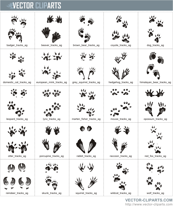 Animal Tracks - professional vinyl-ready vector clipart package